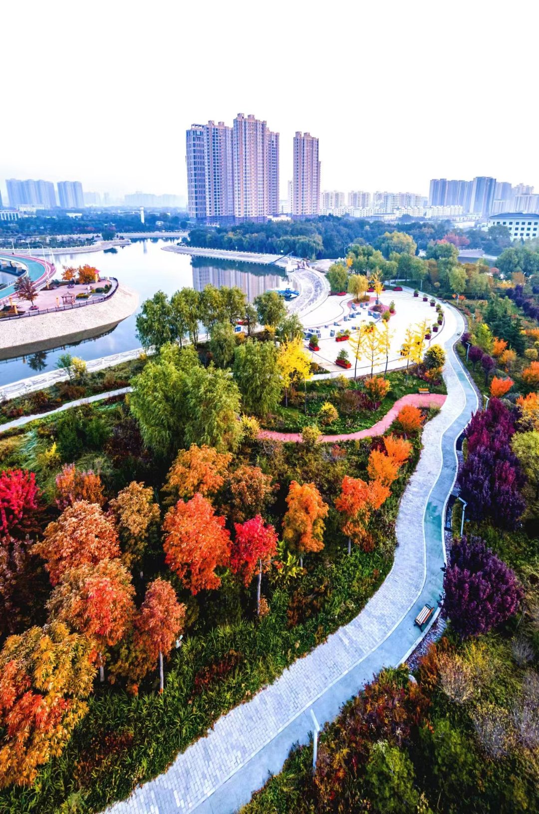 图为秋日的庆阳市城市海绵运动绿地.张应君 摄