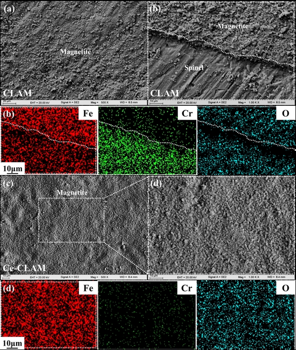 图2 腐蚀1500h后典型表面形貌与扫描结果（a-b）CLAM，（c-d）Ce-CLAM