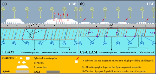 图3 CLAM钢和Ce-CLAM钢样品岛状磁铁矿生长机理模型