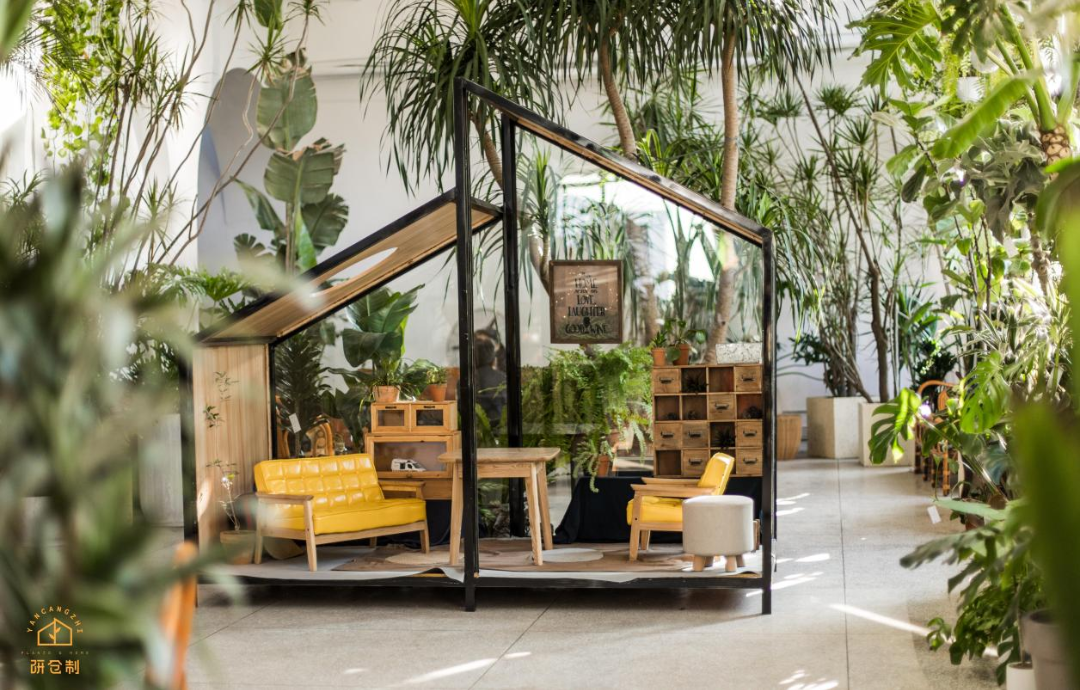 "有越来越多的年轻人开始喜欢植物,追求个性化的空间,为了迎合市场的