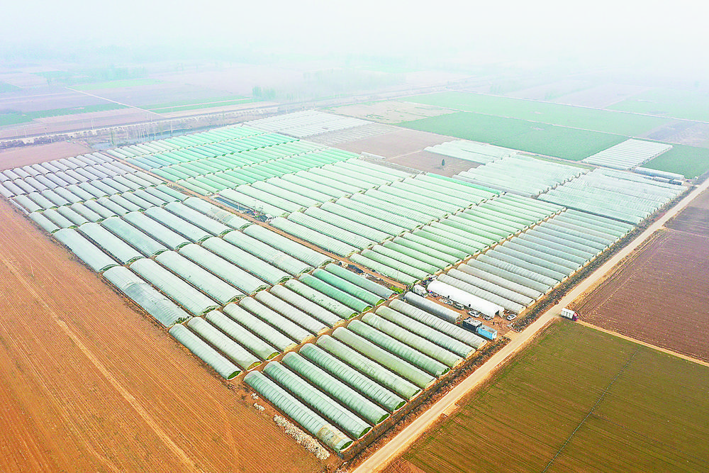 图为三圣口乡张家场村的蔬菜种植大棚鸟瞰图.
