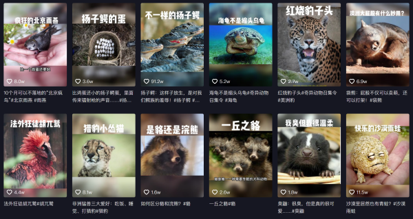 在抖音,嗑叔发布了近300个科普视频