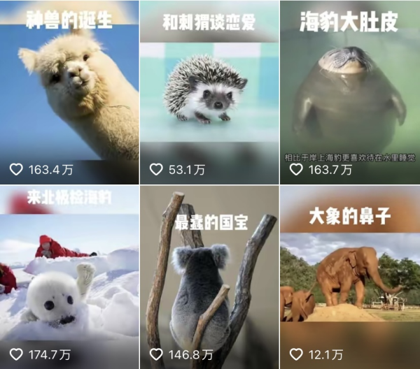 连续获赞超百万的嗑叔