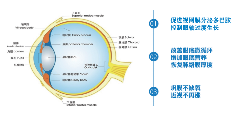 　　(图片来源：艾尔兴官网https://eyerising.com)