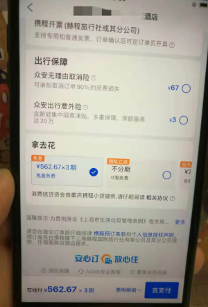 某旅行平台支付界面 付乐/摄