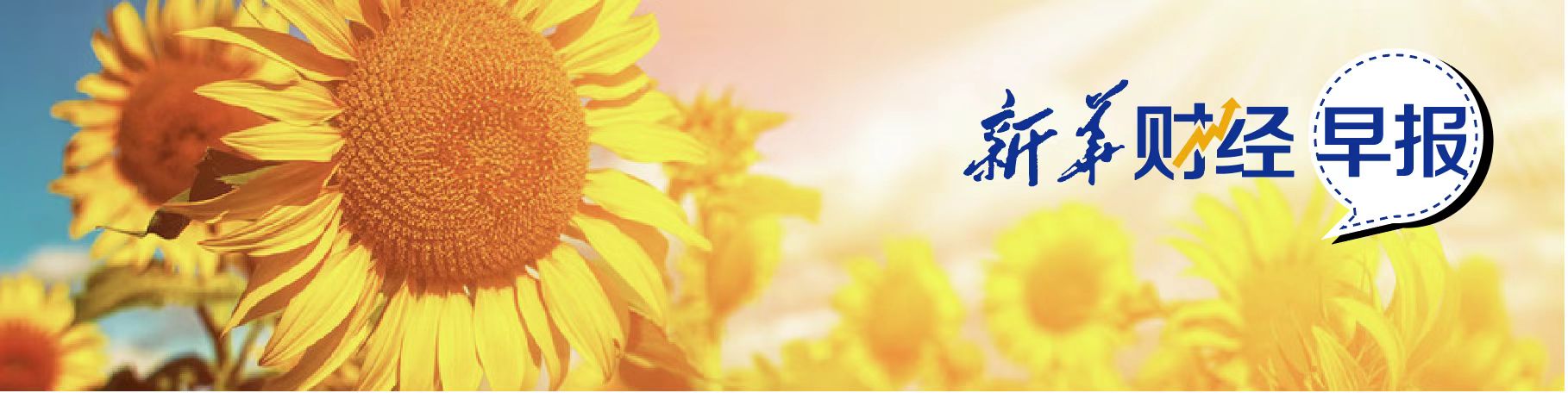 新华财经早报 11月26日 新浪财经 新浪网