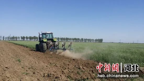 图为廊坊市一农业合作社正在进行绿肥还田作业。（资料图） 王巍 摄