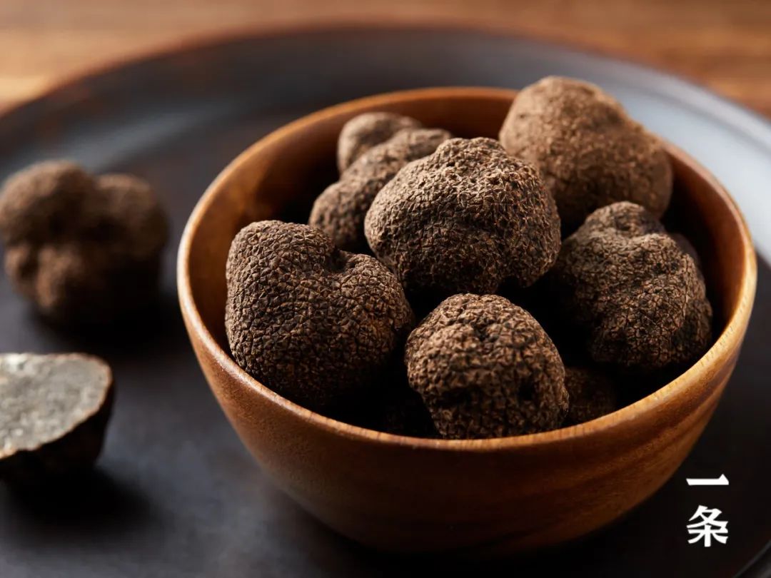 餐桌黑钻石云南野生黑松露海拔4200米当季现采鲜嫩脆爽