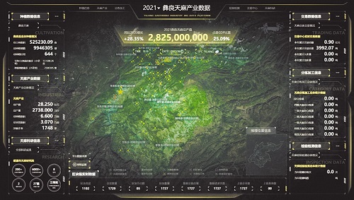 5G﹢“云天麻”产业全流程管理应用项目在彝良县投入使用，提升天麻产业数字化水平。