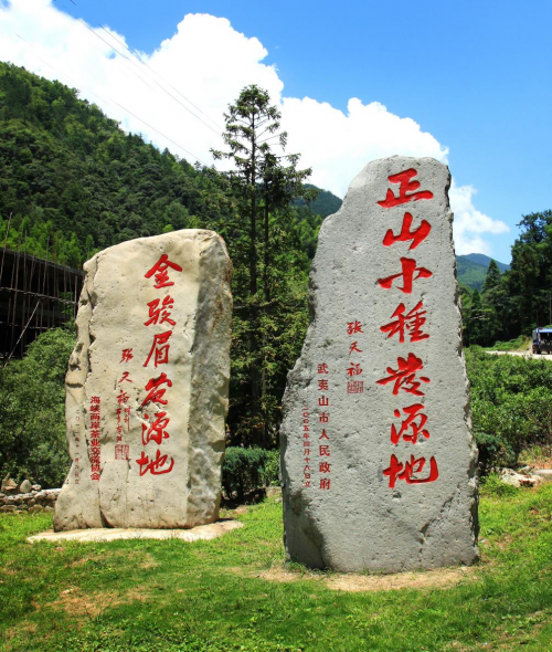 武夷山桐木村:武夷山市人民政府,海峡两岸茶业交流协会所立"正山小
