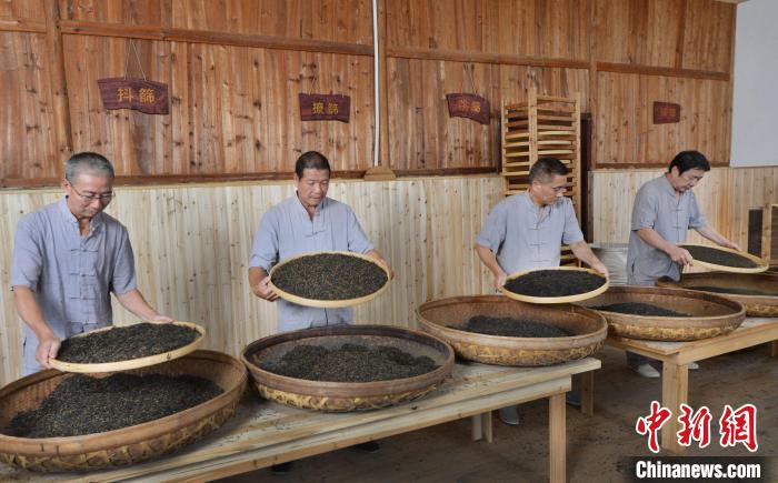 在福安市社口镇坦洋村，“坦洋工夫”红茶传统制作技艺依旧传承。郑健雄 摄