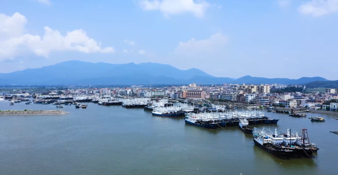阳西县沙扒镇渔港航拍图