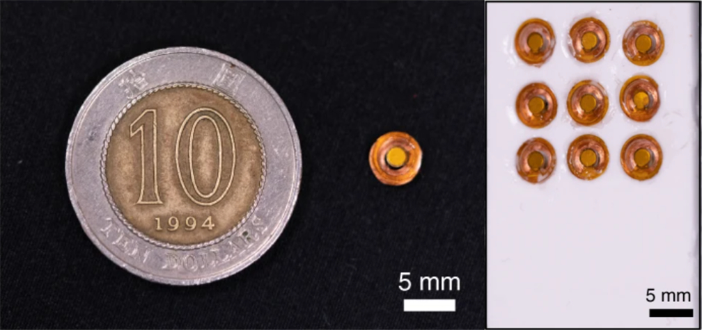 图 II-1：尺寸 5mm 的电磁触觉执行器示意图。