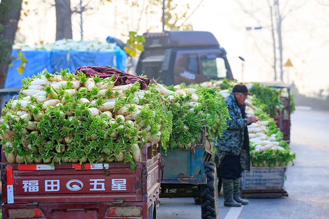 图片来源：随州论坛网