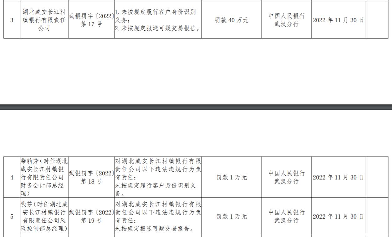 湖北咸安长江村镇银行违规被罚 大股东为武汉农商行