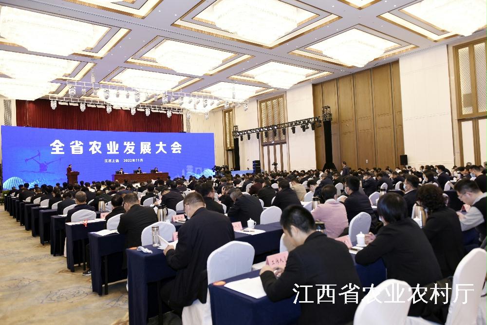 　　会议现场