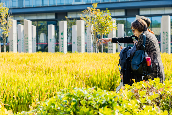 张家港“原味乡村·传奇之旅”旅游线路上线，趣享乡村美好生活