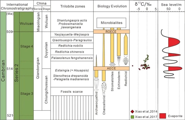 华北板块早寒武世膏盐沉积与生物-环境演化事件综合图