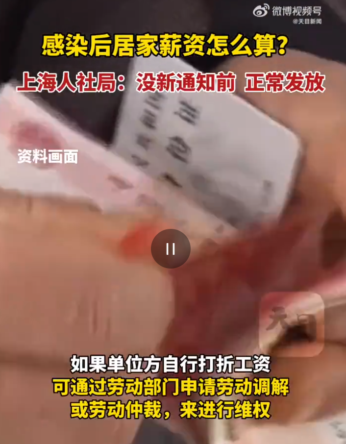 图片来源:天目新闻视频截图