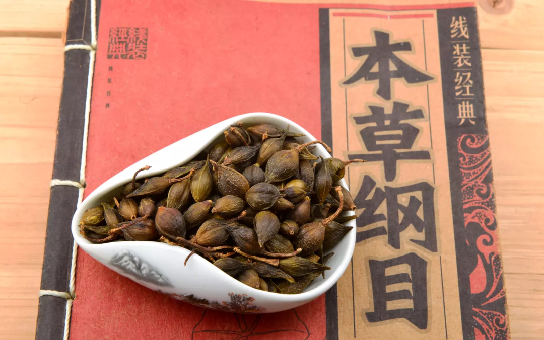连翘主要是果实入药|图源:图虫创意