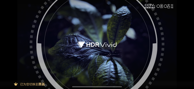 　　纪录片《一叶茶，千夜话》HDR Vivid版本播放效果