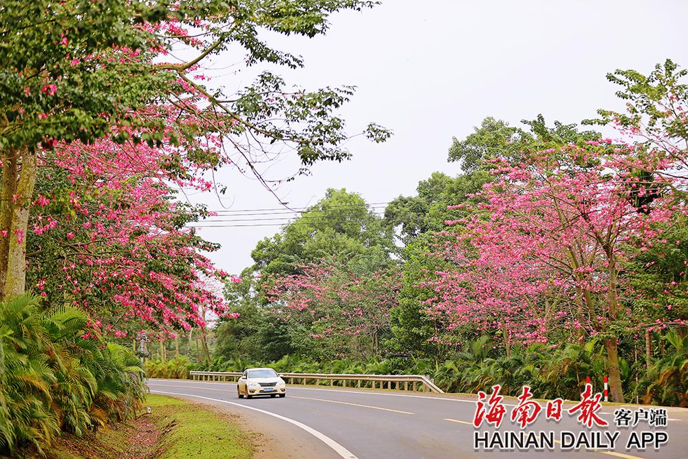 欧宝竞技球场