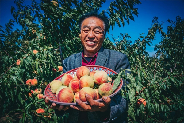 　　纪爷爷手捧晚秋蜜桃