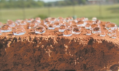 水珠在超疏水土表面的效果图.疏科纳米疏水科技(嘉兴)有限公司供图