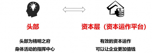 　　(图2：头部拟化为资本层)