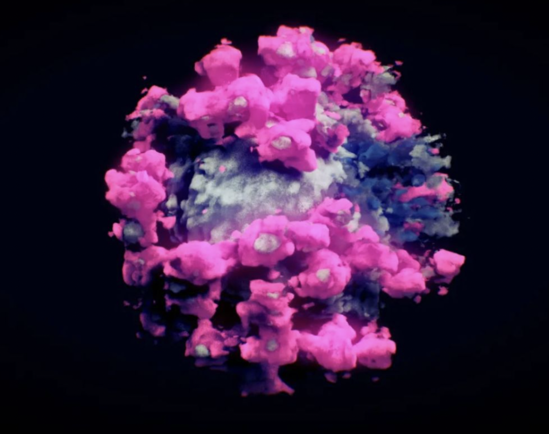 新冠病毒电镜扫描 3D 图，粉色的部分为刺突蛋白｜来源：Nanographics