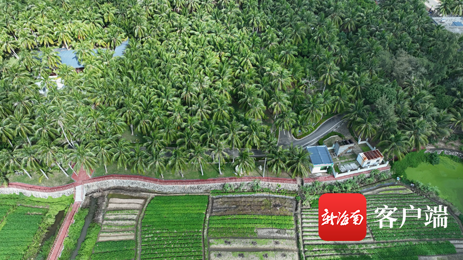 什寒夜雨，清晨初歇，村庄、山峦被云雾笼罩。拍客 日尧 摄