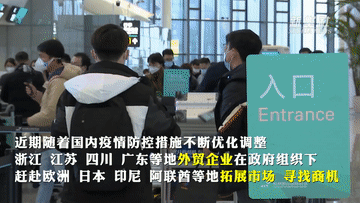 稳外贸!多地组团“出海”全球觅商机