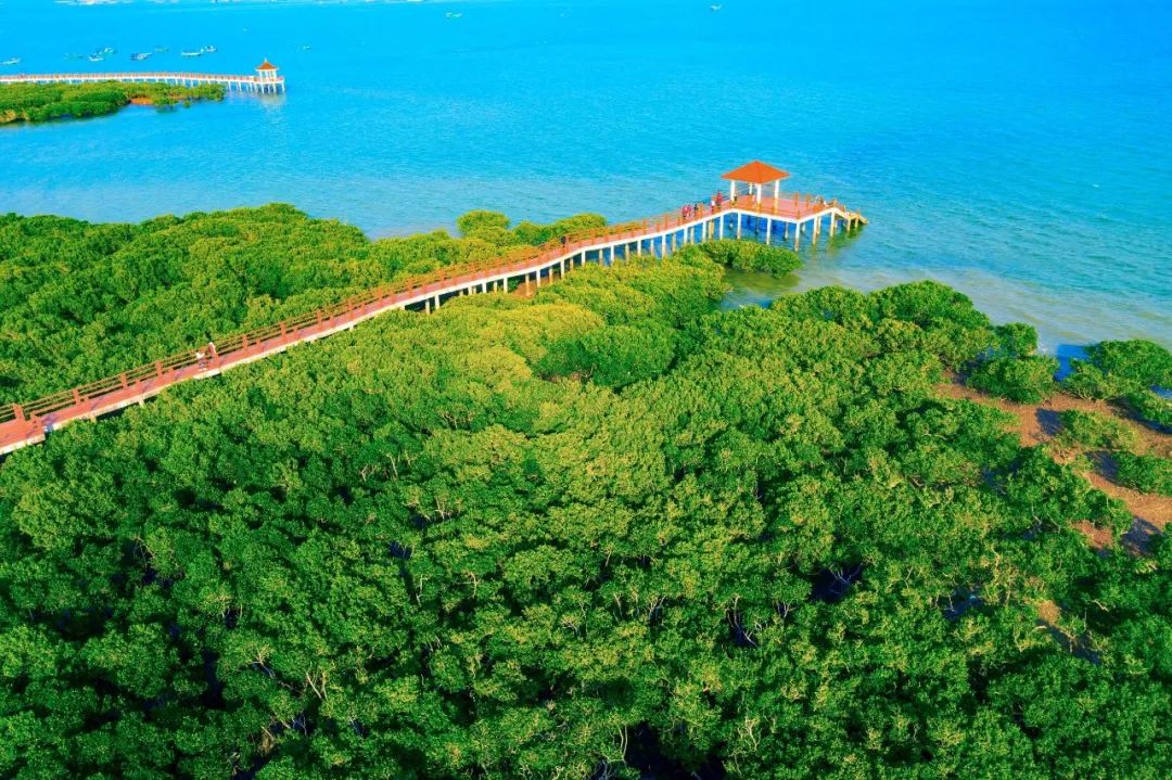 特呈岛.郭龙碧&nbsp;摄