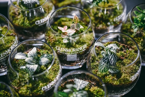 　　格兰杰妙趣微型绿植生态瓶