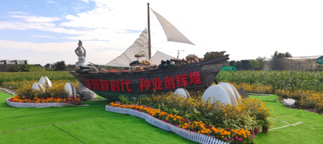 　　“扬帆起航”花海造型展示区