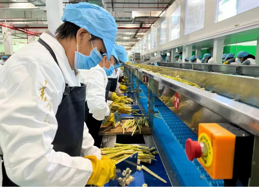 从山间到舌尖 桐梓方竹笋产业迈入高质量发展新阶段|中国经济_新浪财经_新浪网