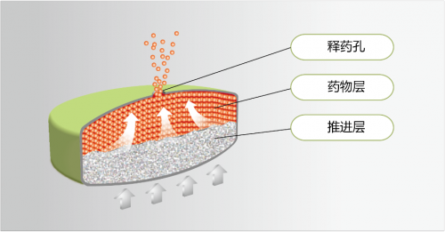 渗透泵控释片剂型示意图