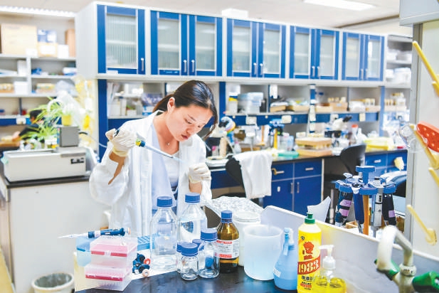 在未来科学城西区"生命谷"的北京生命科学研究所内,科研人员正在