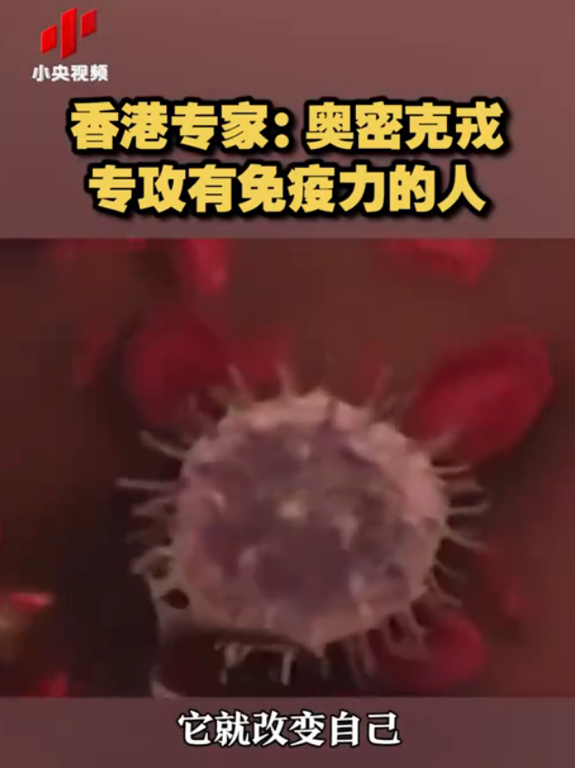 图片来源：小央视频截图