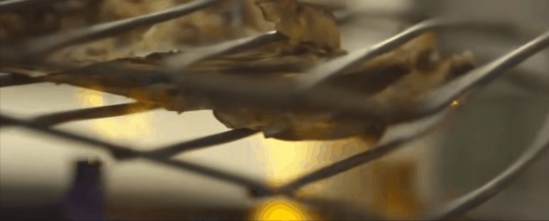 《街头美食斗士》剧照