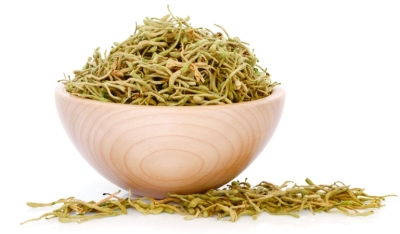 &nbsp;&nbsp;&nbsp;&nbsp;金银花