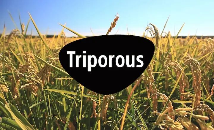 Triporous