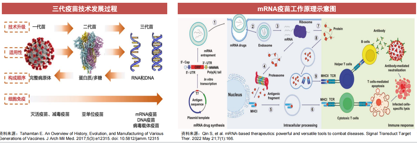 新冠变异株mRNA疫苗捷报频传！产业链受益上市公司梳理