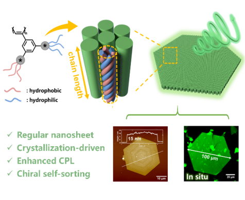 图1 两亲性聚苯乙炔均聚物的自组装
