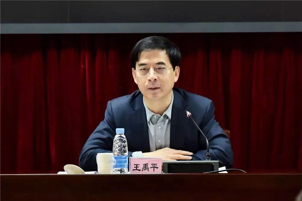 广东省体育局局长王禹平 资料图