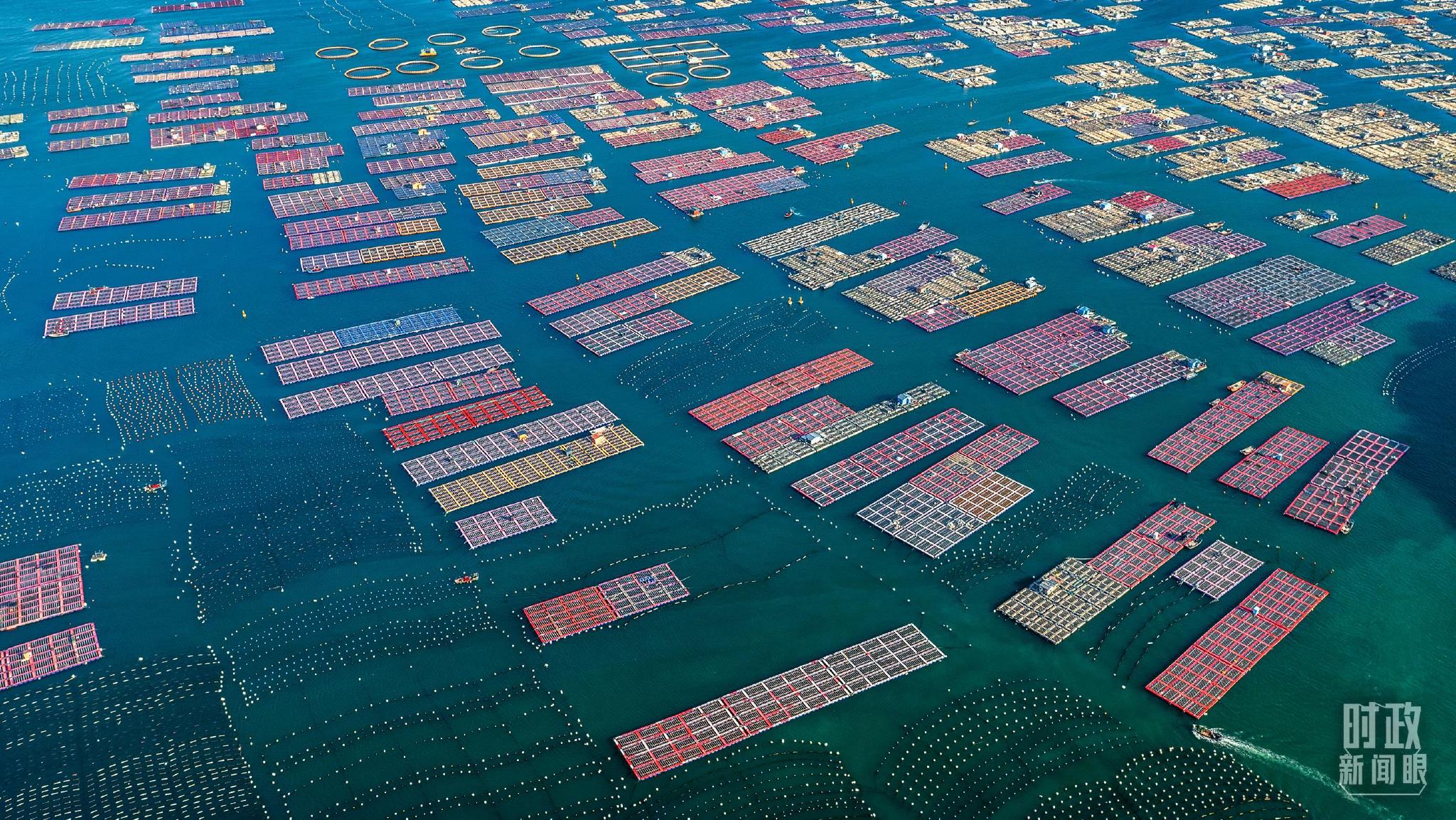 △俯瞰福建福州连江县渔村。（图/视觉中国）