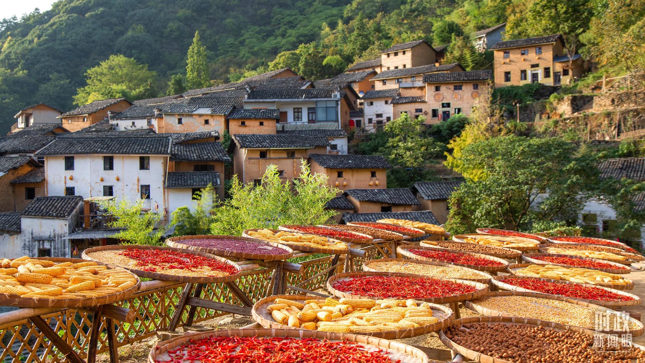 △安徽歙县“阳产土楼”的“晒秋”景象。（图/视觉中国）
