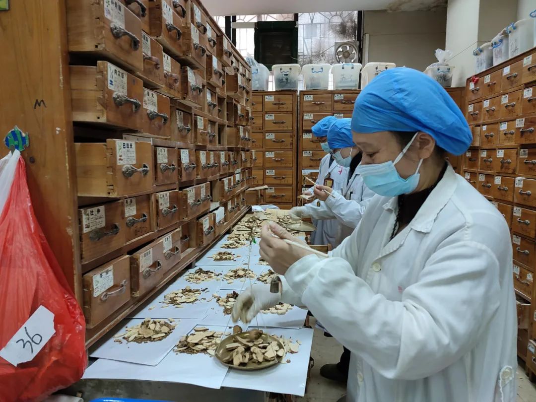 在市中医院总院中药房内,医务人员们正忙着配药分装药包,熬药分装汤剂