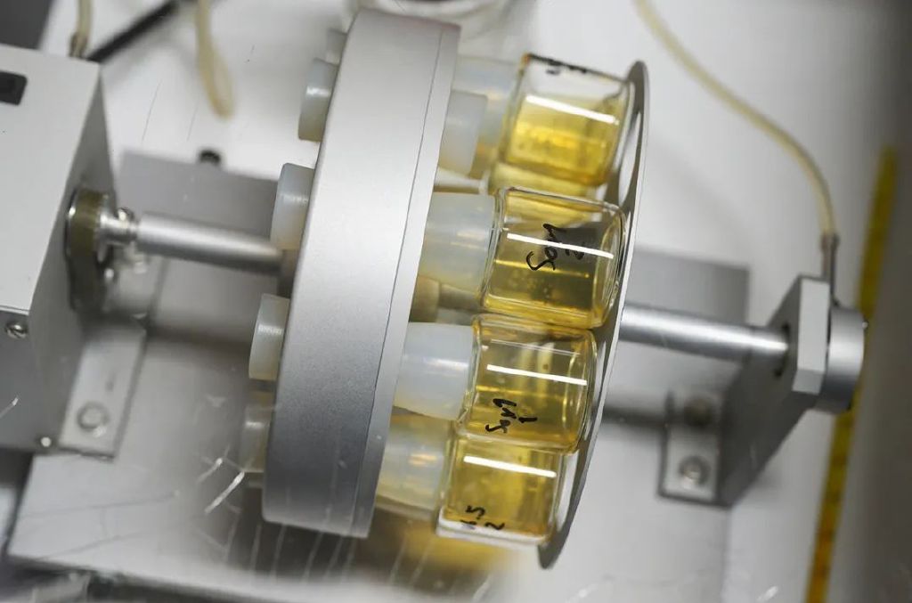 这种生物反应器可以帮助小鼠胚胎干细胞模拟正常胚胎的生长长达8天。图片来源：雅各布·汉纳实验室/魏茨曼研究所