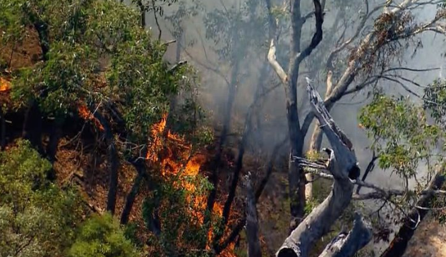 Australian bushfires spark after plane crash (screenshot from video)